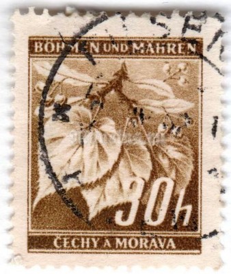 марка Богемия и Моравия 30 геллер "Lime tree branch with fruits" 1941 год Гашение