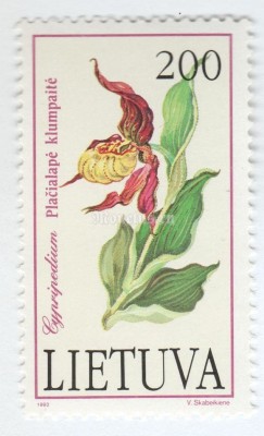 марка Литва 200 копеек "Cypripedium calceolus" 1992 год
