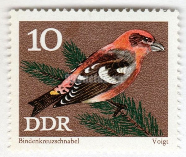 марка ГДР 10 пфенниг "Two-barred Crossbill (Loxia leucoptera)" 1973 год 