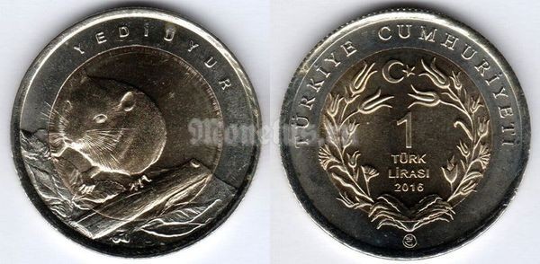 монета Турция 1 лира 2009 год Фауна Турции - Соня