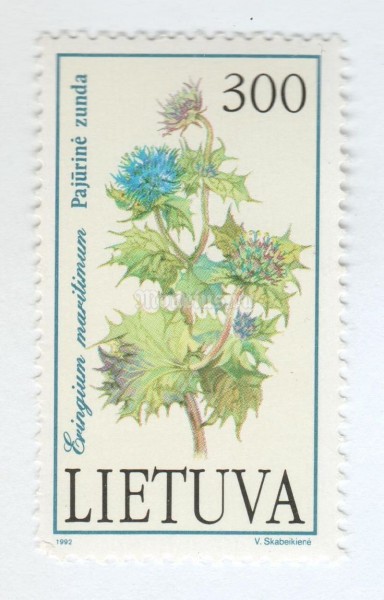 марка Литва 300 копеек "Eryngium maritima" 1992 год