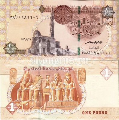 бона Египет 1 фунт 2016 год