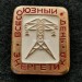 Значок Всесоюзный день энергетика