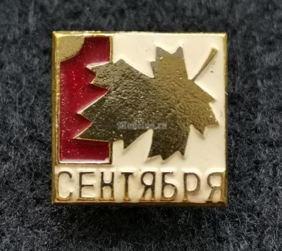 Значок 1 сентября Кленовый лист Клеймо 263 Челябинск