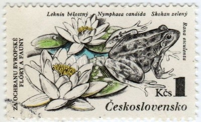 марка Чехословакия 1 крона "Edible Frog (Rana esculenta), Dwarf Waterlily (Nymphaea cand" 1983 год гашение
