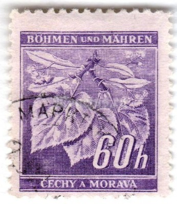 марка Богемия и Моравия 60 геллер "Lime tree branch with fruits" 1942 год Гашение