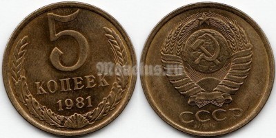 монета 5 копеек 1981 год