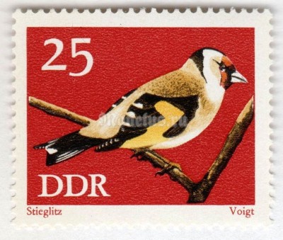 марка ГДР 25 пфенниг "European Goldfinch (Carduelis carduelis)" 1973 год 