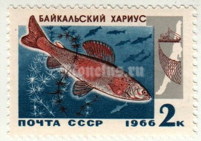 марка СССР 2 копейки "Байкальский Хариус" 1966 год