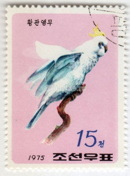 марка Северная Корея 15 чон "Sulphur-crested Cockatoo (Cacatua galerita)" 1975 год Гашение