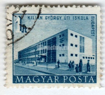 марка Венгрия 1 форинт "György Kilián Street School" 1951 год Гашение