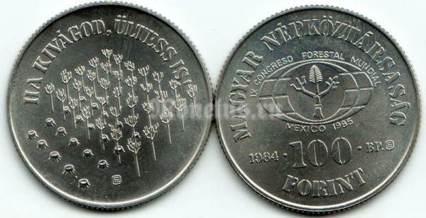 монета Венгрия 100 форинтов 1984 год -  Лесное хозяйство для развития