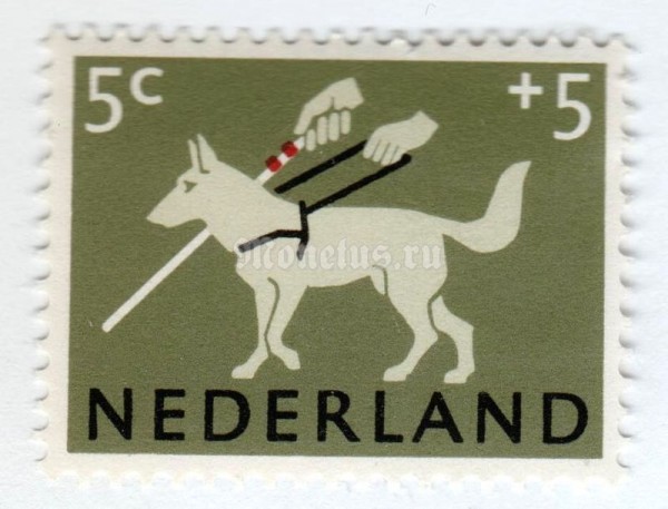 марка Нидерланды 5+5 центов "German Shepherd (Canis lupus familiaris) as Guide Dog" 1964 год