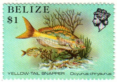 марка Белиз 1 доллар "Ocyurus chrysurus" 1984 год