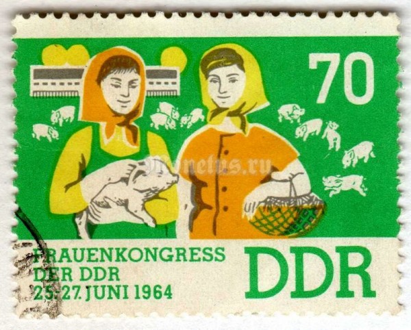 марка ГДР 70 пфенниг "Cattle breeder" 1964 год Гашение