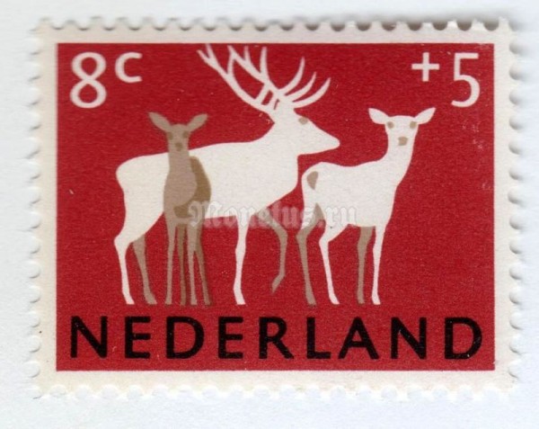 марка Нидерланды 8+5 центов "Red Deer (Cervus elaphus)" 1964 год
