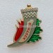 Значок Хортица (Хортиця) Запорожская область