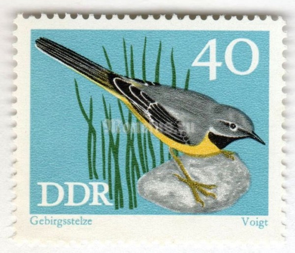 марка ГДР 40 пфенниг "Grey Wagtail (Motacilla cinerea)" 1973 год 