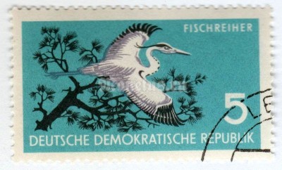 марка ГДР 5 пфенниг "Grey Heron (Ardea cinerea), Scotch Pine (Pinus sylvestris)" 1959 год Гашение