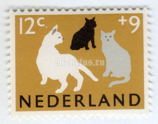марка Нидерланды 12+9 центов "Cats (Felis silvestris catus)" 1964 год