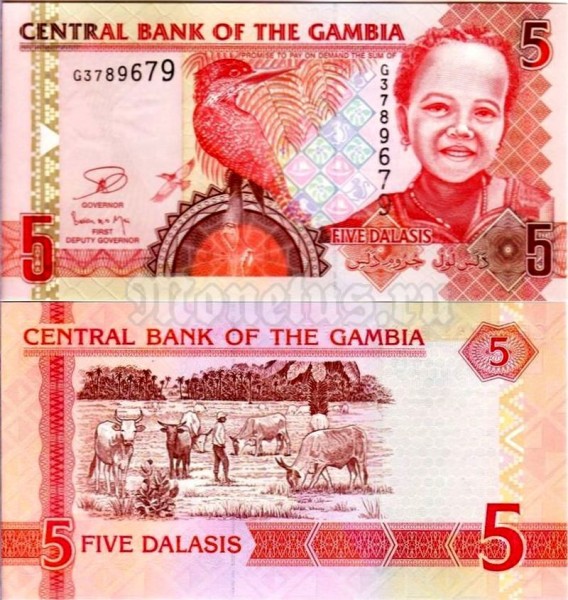 банкнота Гамбия 5 даласи 2006 (2012) год
