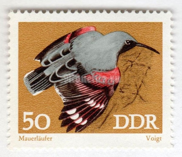 марка ГДР 50 пфенниг "Wallcreeper (Tichodroma muraria)" 1973 год 