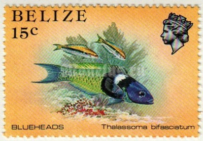 марка Белиз 15 центов "Thalassoma bifasciatum" 1984 год