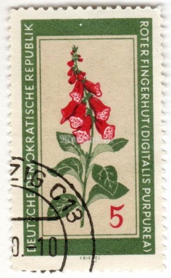 марка ГДР 5 пфенниг "Purple foxglove (Digitalis purpurea)" 1960 год Гашение