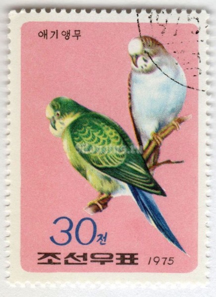 марка Северная Корея 30 чон "Budgerigar (Melopsittacus undulatus)" 1975 год Гашение