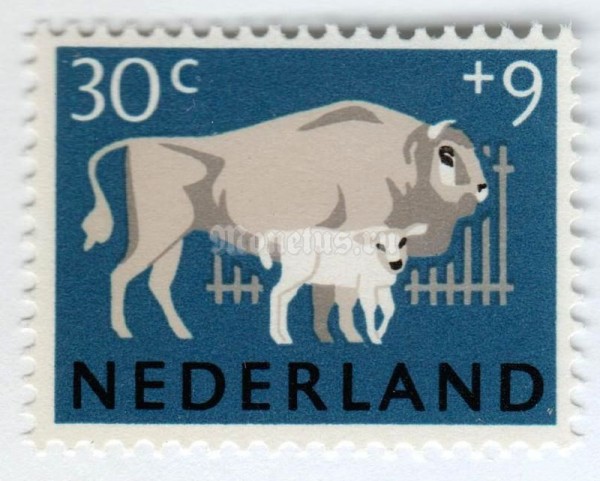 марка Нидерланды 30+9 центов "Wisent (Bison bonasus)" 1964 год
