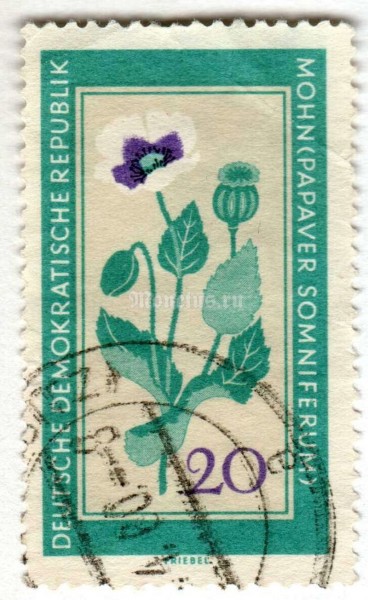 марка ГДР 20 пфенниг "Opium poppy (Papaver somniferum)" 1960 год Гашение