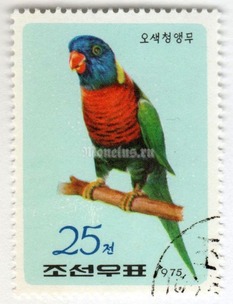 марка Северная Корея 25 чон "Rainbow Lorikeet (Trichoglossus haematodus)" 1975 год Гашение