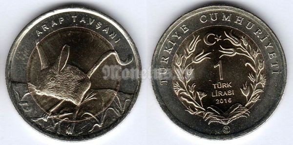 монета Турция 1 лира 2009 год Фауна Турции - Четырёхпалый тушканчик