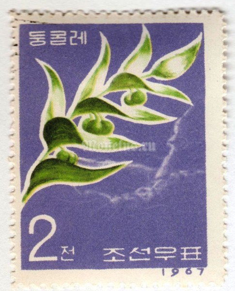 марка Северная Корея 2 чон "Polygonatum japonicum" 1967 год Гашение