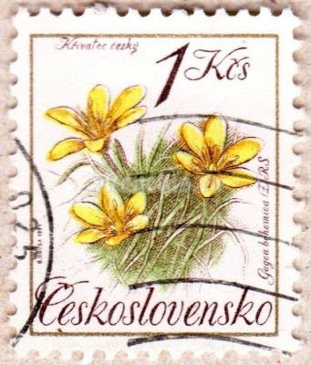 марка Чехословакия 1 крона "Гусиный лук богемский" 1991 год