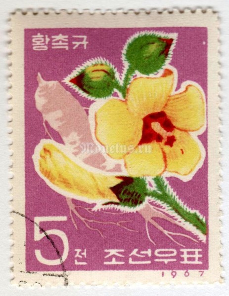 марка Северная Корея 5 чон "Hibiscus manihot" 1967 год Гашение