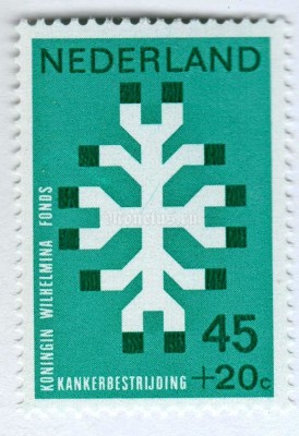 марка Нидерланды 45+20 цента "Queen Wilhelmina Cancer Fund" 1969 год