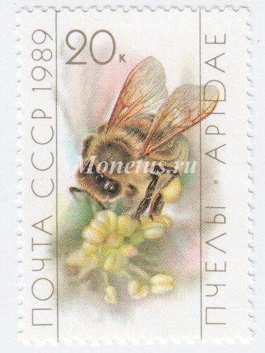 марка СССР 20 копеек  "Пчела на цветке" 1989 год