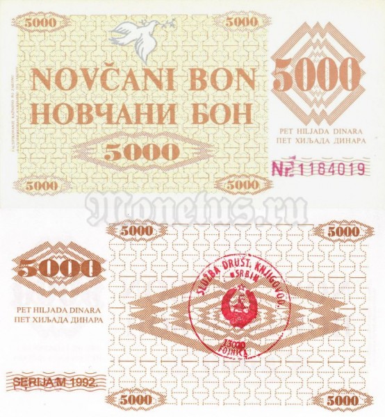 бона Босния и Герцеговина 5000 динар 1992 год Fojnica