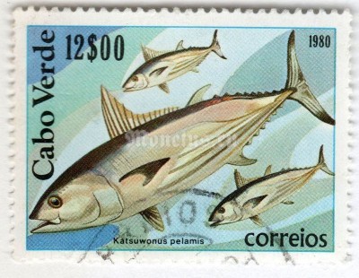 марка Кабо-Верде 12 эскудо "Angler, Skipjack (Katsuwonus pelamis)" 1980 год Гашение