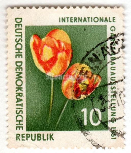 марка ГДР 10 пфенниг "Tulips" 1961 год Гашение