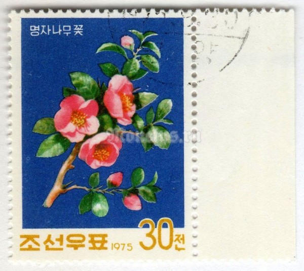 марка Северная Корея 30 чон "Japanese camellia" 1975 год Гашение