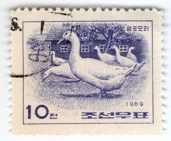 марка Северная Корея 10 чон "Kwangpo Duck (Anas platyrhynchos domestica)" 1969 год Гашение