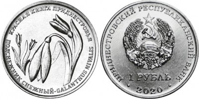 монета Приднестровье 1 рубль 2020 год - Подснежник снежный