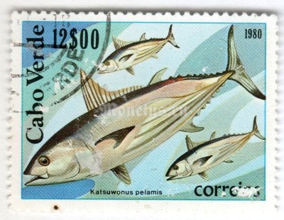 марка Кабо-Верде 12 эскудо "Angler, Skipjack (Katsuwonus pelamis)*" 1980 год Гашение