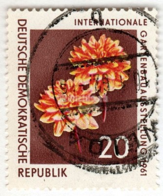 марка ГДР 20 пфенниг "Dahlias" 1961 год Гашение