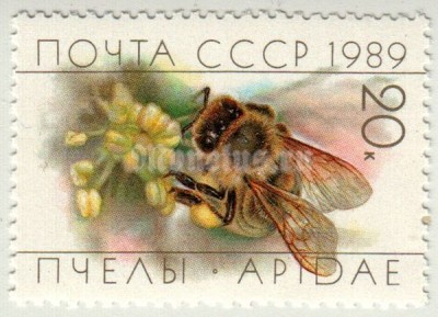 марка СССР 20 копеек "Пчела на цветке" 1989 год