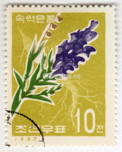 марка Северная Корея 10 чон "Scutellaria baicalensis" 1967 год Гашение