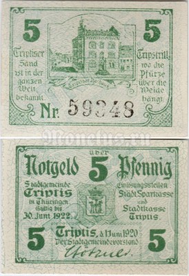 Нотгельд Германия 5 пфеннигов 1920 год