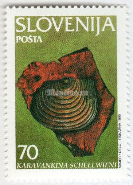 марка Словения 70 толар "Fossils - Karavankina schellwieni" 1995 год